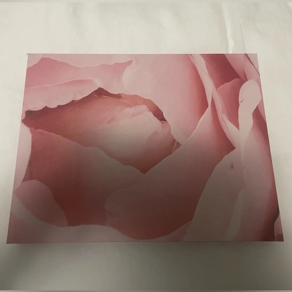 Urban Outfitters Pink Floral Canvas Art